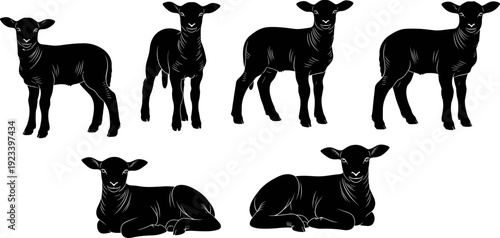 Black lamb silhouette set, young sheep vector collection, farm animal profile, standing and lying sheep shapes, livestock agriculture illustration,