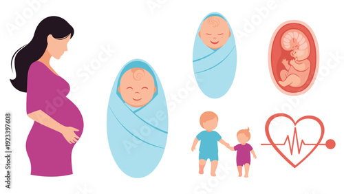 Medical and family illustration showing pregnancy stages from fetus to newborn baby and young children with a heart rate icon.