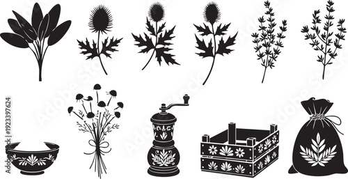 Black and white of plants, herbs, and kitchen utensils on white background leaves