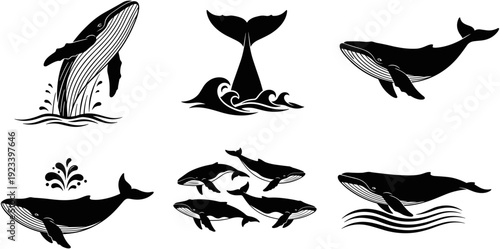 Whale silhouette vector set, breaching humpback whale, diving fluke tail, ocean waves, marine life illustration, aquatic mammal collection, sea creature icons.