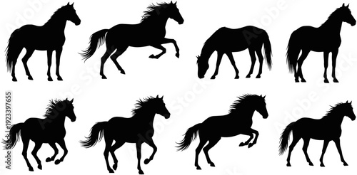 Set of horse silhouettes, black stallion galloping, jumping horse vector, wild mustang running, equine animal collection, isolated horse shapes, equestrian silhouettes.