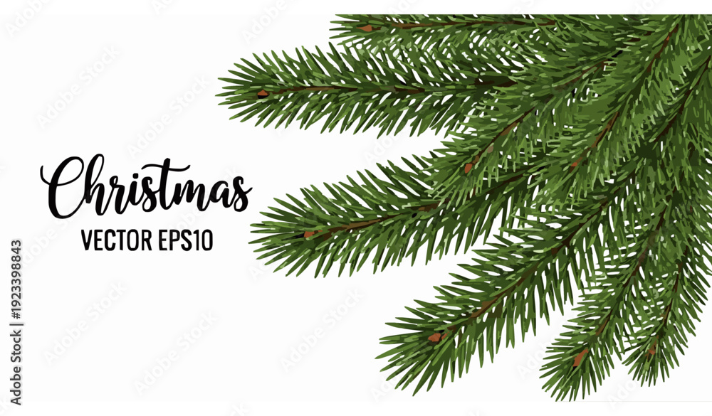 Obraz premium Winter Pine Branch Festive Vector Illustration