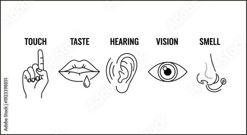 Five Human Senses Icons Set Touch Taste Hearing Vision And Smell Symbols Vector Collection
