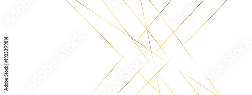 Luxury minimal line art background with smooth curves.