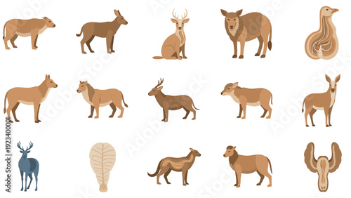 Flat lay of various animal silhouettes in shades of brown on a white background.