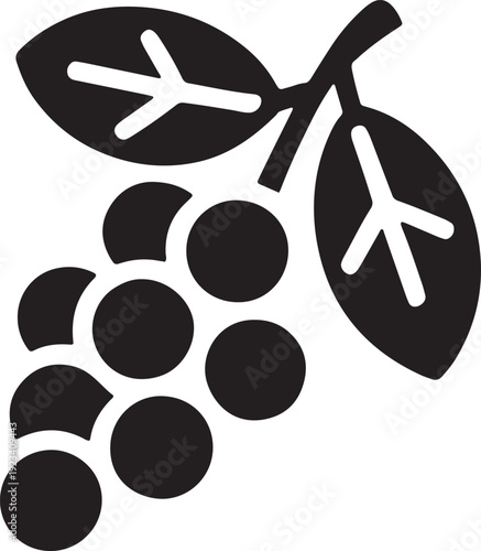 Bunch of fresh grapes with leaves on stem vector illustration flat icon