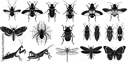 Black vector silhouette set of diverse insects and bugs featuring spider with web butterfly dragonfly grasshopper mantis and various beetles isolated on white background.