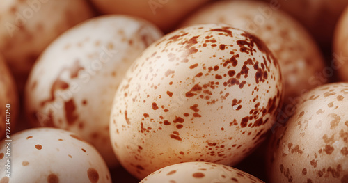 Brown speckled wild bird eggs in a group for nature background or wildlife theme