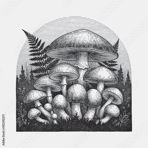 Mushroom cluster laser engraving design, vintage woodcut vector illustration, detailed hand drawn ink line art forest fungi composition for CNC wood, metal and leather engraving