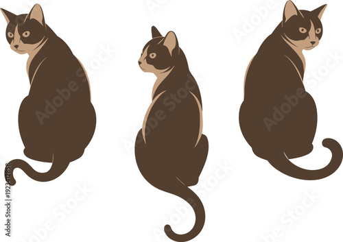 Three brown and tan cats sitting and looking in different directions on a white background untitled