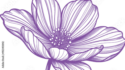 Floral Finesse: An exquisitely detailed line drawing captures the delicate beauty of a blooming flower. This artwork reveals the intricate patterns and elegant curves, showcasing nature's artistry