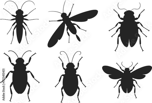 Set of insect silhouettes including beetle, wasp, bee and bug, black vector illustration collection isolated on white background for entomology design