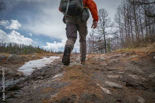 Obraz na plátně Close-up of a hiker's legs and backpack walking on a muddy forest road with melting snow and bare larch trees in early spring