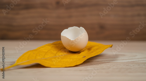 Dried leaf with a cracked eggshell resting on top