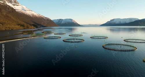 Midnight sun drone view over Gratangen aquaculture salmon farm in fjord, Norway