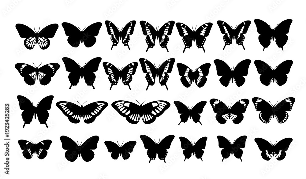 Fototapeta premium Butterfly Silhouette Vector Set with Detailed Wing Shapes Isolated on White Background