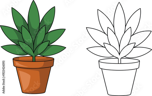 Potted plant coloring page and colored cartoon houseplant illustration, cute indoor greenery drawing for kids activity book isolated on white background