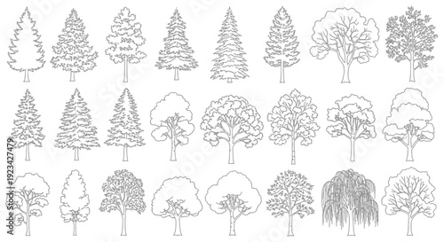 A comprehensive collection of various tree outlines and silhouettes for design purposes.