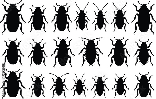 Beetle and insect silhouette collection, various bug species isolated on white background for entomology and design
