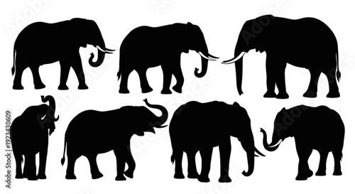 Elephant Silhouettes Collection