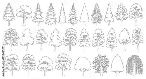 Collection of various tree outlines and silhouettes in line art style, showcasing different shapes and species.