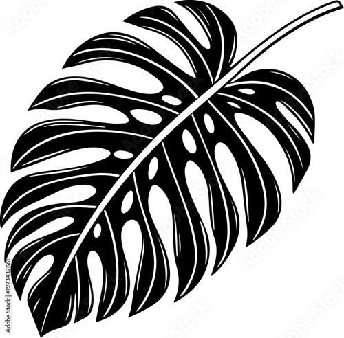 Black and White Monstera Deliciosa Leaf Vector Illustration Tropical Plant
