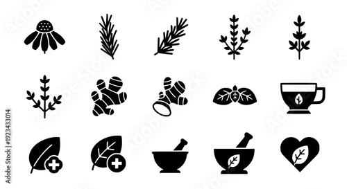 Natural healing plants minimal flat line icon set