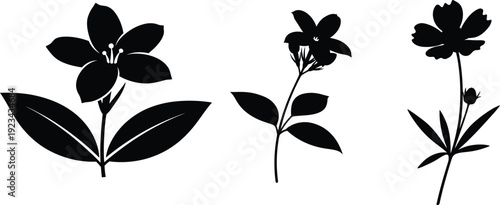 Black silhouette of three botanical plant specimens