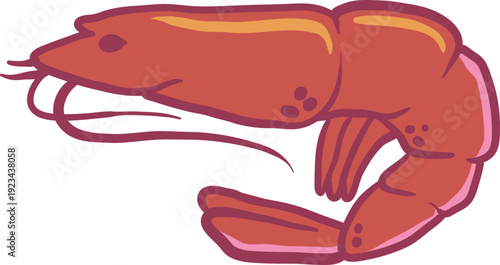 Summer Shrimp Vector Art