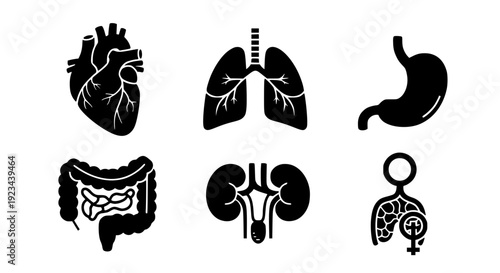 Medical organs minimal flat line icon collection
