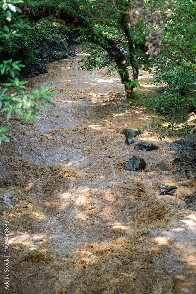 Fototapeta premium High-angle shot of the Ciliwung River's turbulent brown water rushing through a lush green valley in Bogor, showing the raw power of nature and natural debris after heavy rain in the upstream