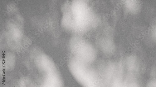 Shadow of tree branch sway in the wind on white wall background