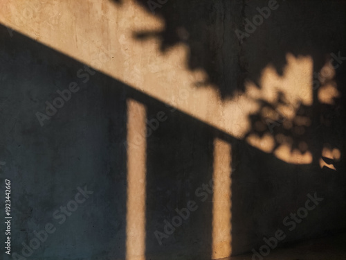Cinematic shot of warm golden hour sunlight casting soft leaf shadows and geometric window patterns onto a textured grey concrete wall, creating a peaceful and minimalist urban atmosphere.