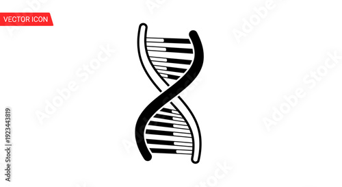 DNA double helix structure model.