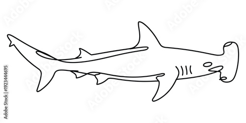 Hammerhead shark line drawing in a continuous minimalist style on white background