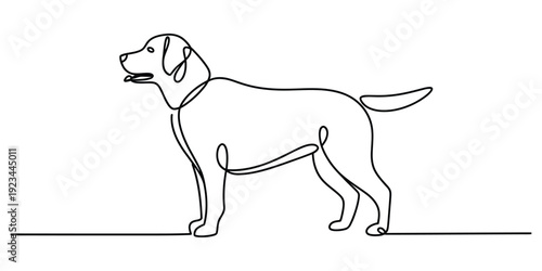 One continuous line drawing of a standing labrador retriever dog on a white background