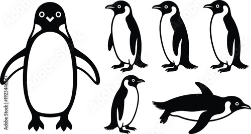 Penguin silhouettes collection, cute Antarctic bird set in standing and swimming poses isolated on white background illustration
