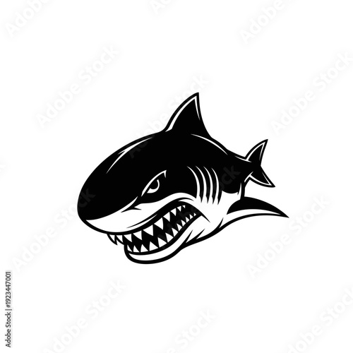 Black and white shark head illustration.