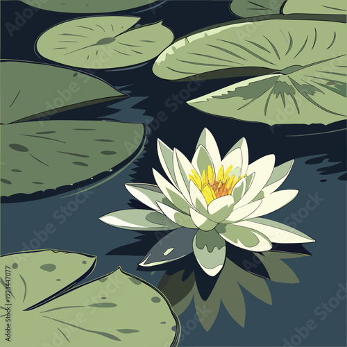 white water lily