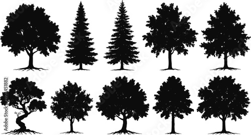 Tree silhouettes collection isolated on white background, various forest and pine trees vector illustration set for landscape design