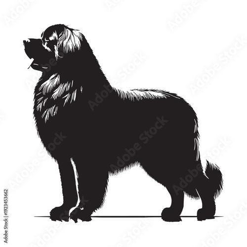 Leonberger Dog – Gentle Giant Guardian, Majestic Lion-Like Appearance, Loyal Family Protector, Intelligent, Calm, Powerful Working Breed, Thick Double Coat, Friendly Temperament, Devoted Companioin.
