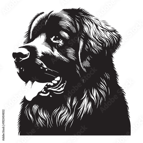 Leonberger Dog – Gentle Giant Guardian, Majestic Lion-Like Appearance, Loyal Family Protector, Intelligent, Calm, Powerful Working Breed, Thick Double Coat, Friendly Temperament, Devoted Companion.