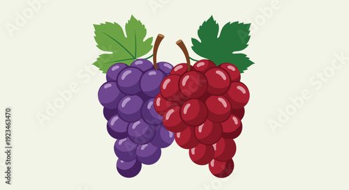 Two large bunches of grapes, one purple and one red, with green leaves attached at the top, representing fresh fruit and vineyard harvest themes.