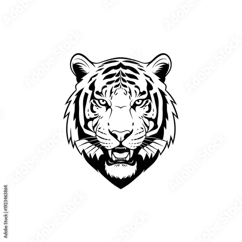 Tiger Face Close Up Illustration.