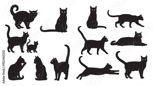 Cat silhouette set with black cats in different poses including sitting, walking, stretching, grooming and lying on white featuring feline, kitten, pet with animal and cute elements for spooky,