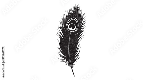 Peacock feather silhouette illustration in black and white, minimalist boho design element isolated on white background featuring plume, monochrome, minimal with simple and line art elements for