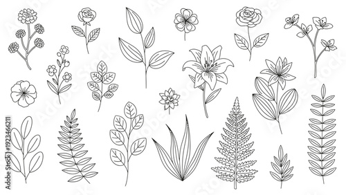 A collection of various botanical illustrations of flowers and leaves in black and white on a plain background.