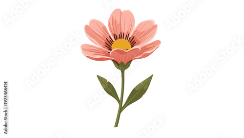 Digital illustration of a single pink daisy flower with green leaves against a white background.