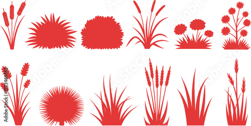 Set of Red Botanical Plant Silhouettes with Wild Grasses Garden Shrubs Bullrushes and Meadow Flowers Isolated on White Background Nature Design Vector Elements