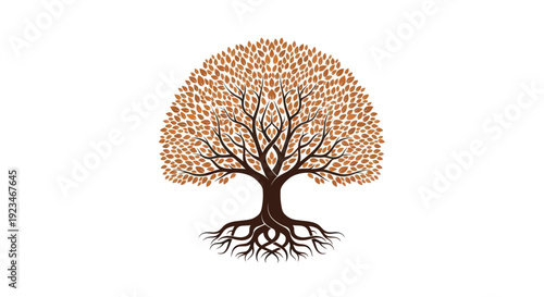 Detailed illustration of a mature tree with extensive root system.